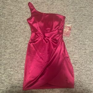 Pink One Shoulder Dress NWT